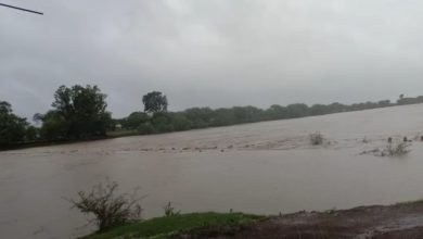 Photo of सिंध नदी की धार में डूब गया पचावली पुल , सड़क संपर्क कटा