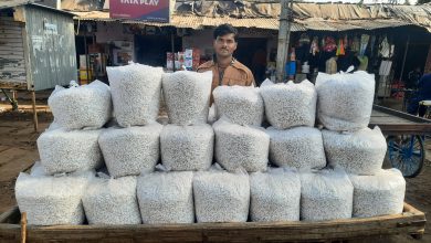Photo of मकर संक्रांति पर ज्वार के फुलको से बाजार पटा