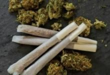 Photo of लुकवासा बाईपास पर खुले आम बिक रहा गांजा, पुलिस कार्रवाई पर सवाल