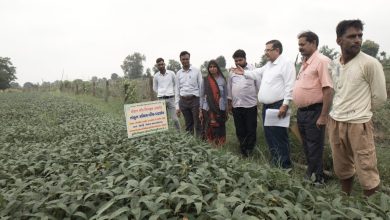 Photo of संयुक्त निदेशक भारत सरकार ने किया मॉडल ग्रामों में भ्रमण