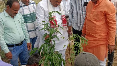 Photo of विधायक महेंद्र सिंह यादव ने स्वच्छता अभियान और पौधारोपण के माध्यम से समाज को प्रेरित किया