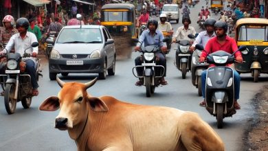 Photo of मुख्यमंत्री मोहन यादव के बाद, जिला कलेक्टर के आदेश पर उड़ान भरते पंचायत सचिव: आवारा मवेशियों को सड़क से हटाने की बजाय बना दिया VIP!