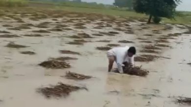 Photo of खरई के किसान गोपाल जाटव की गुहार: पानी में तैरती फसल, कौन सुनेगा हमारी फरियाद?” “कोलारस में बर्बाद फसल का संकट: सोशल मीडिया पर किसान की सरकार से सीधी अपील